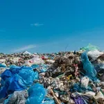 УЖАС: Откриха мъртво бебе на сметището на Пловдив!