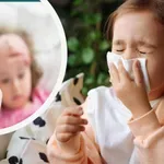 ИЗПРАЗНИХА ГРАДИНИТЕ: Летни вируси удрят през зимата!