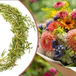 Цветница е!