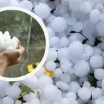 СЛЕД МОЩНА ГРАДУШКА: Унищожена реколтата в половината населени места на община Неделино