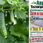 Каква е рецептата на „Телеграф“ за унищожение на въшките в градината