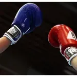 България спечели три медала от силния турнир по бокс в Баку