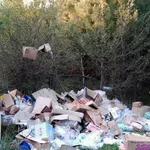 20 години затвор за боклук извън сметище!