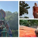 ЗАЕДНО С ЖЕНА СИ: V:rgo обикаля храмове в Индия!