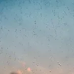 ПРЕЗ ДЕКЕМВРИ: Термометърът чуква 20 градуса