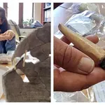 Викинги майсторят и търгуват във Варна