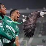 Шведи се обадиха на Лудогорец