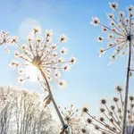 ТУ ТАКА, ТУ ИНАЧЕ: Малък Сечко носи температури от -12°C до +23°C!