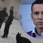 Терзиев за новите данни за "Петрохан": Как подобни неща винаги се случват преди политически събития?