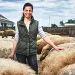 Внасят нелегално прасета „Мангалица“