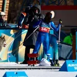 Инцидент! Куче нахлу на пистата по време на състезанието по ски бягане на олимпиадата, активира и системата за времеотчитане