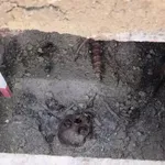 Богата мулатка е живяла зад стените на Хераклея Синтика