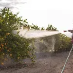 65 000 фермери с искове срещу „Раундъп“