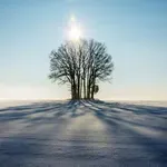 Температурите над нормата, почвата преовлажнена