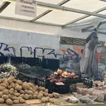 Време е да правим разсада: Краставиците не понасят пикиране