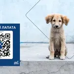 Fibank подкрепя кампанията „Сканирай лапата“ в защита на животните