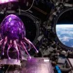 ПРИШЪЛЕЦЪТ ОЖИВЯ: Астронавти заснеха извънземен живот, растящ на МКС! (СНИМКИ)