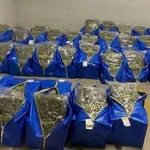 Заловиха голямо количество наркотици в София (СНИМКИ)