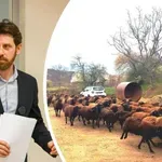 Ангел Мавровски, шеф на агенцията по храните, пред "Телеграф": Бизнесът с развалени меса е за затвора