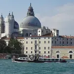 Цикади нападнаха островите на Венеция