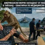НЕОЧАКВАНА ЗАПЛАХА: Маймуна нападна американски моряк на път за Ормузкия проток!
