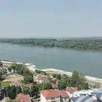 ДУНАВСКИ КОШМАР: Ниското ниво при Русе блокира корабите