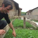 Сеем чушки през април? Не губете и ден!