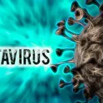 Круизен ужас: Ново съмнение за хантавирус в Европа, испанка е със симптоми