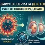 НЕОЧАКВАНА ОПАСНОСТ: Хантавирусът се предава по полов път?!