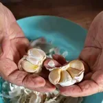 С напредването на възрастта: Чесънът помага на мускулите!