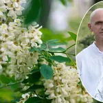 Билкарят Валентин Стоянов: Коприва и котешка стъпка борят сенната хрема