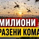 СКАНДАЛНО: Пускат милиони заразени комари за биологичен експеримент!
