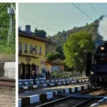 ОТНАСЯ ЗЛОТО НА КРИЛЕ! Черен щъркел пази дефилето