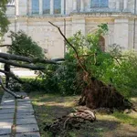 Огромен клон падна в центъра на Варна