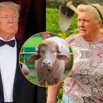 ДВОЙНИЦИТЕ НА ТРЪМП: Как фермерка и бивол взривиха мрежата!