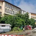 Мълния повали дърво на автогара в Смолян, чистачка оцеля по чудо
