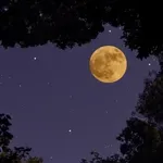 Изгрява Ягодова луна