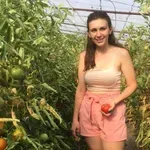Доматите през юли нямат нужда от азот