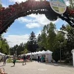 Гонят фермерския домат от парковете