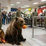 ГЛАДЪТ Я НАЗОРИ: Мечка нахлу в търговски център, открадна праскова!