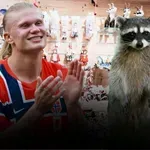Ефектът Халанд: Как футболната звезда донесе хиляди долари на малък магазин без да подозира