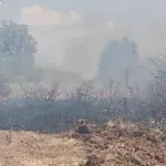 ОГНЕН АД: Огромен пожар блокира Асеновград (ВИДЕО)