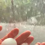 ПРИРОДНО БЕДСТВИЕ: Градушка като орех удари село Плетена