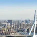 Два трамвая се сблъскаха на емблематичен мост в Ротердам (ВИДЕО)