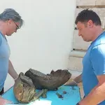 Зъбите на мамута - уникат