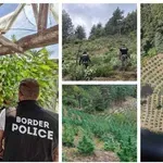 Гранични полицаи откриха над 3 тона канабис в планините Пирин и Огражден