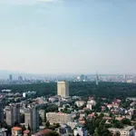ПОТВЪРДИХА: Пожар в Сърбия е донесъл задимяването над части от страната