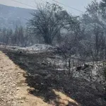 Евакуираха десетки деца заради пожар във вилна зона в Мездра