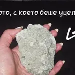 С КАМЪНИ! Гамени потрошиха колата на Невяна Владинова!