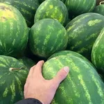 Клиент отнесе диня в главата при сблъсък между търговци